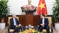 Phó Thủ tướng, Bộ trưởng Ngoại giao Bùi Thanh Sơn tiếp Bí thư Thường trực Bộ Ngoại giao Singapore Albert Chua. 