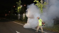 Việt Nam chưa có ca bệnh Chikungunya nhưng luôn đề cao cảnh giác