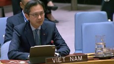Đại sứ Đỗ Hùng Việt phát biểu tại phiên thảo luận của Hội đồng Bảo an.
