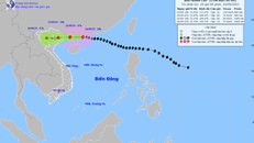 Hình ảnh đường đi của bão số 9.