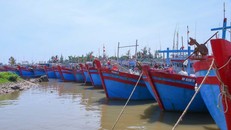 Các tàu bè neo đậu tại cảng cá Ninh Cơ.