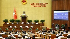 Mở rộng điều kiện nhập quốc tịch Việt Nam, thúc đẩy chính sách hòa hợp dân tộc