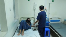 Dịch sốt xuất huyết vào đỉnh, nhiều ca nặng, tiểu cầu giảm nguy hiểm