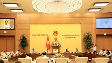 Quang cảnh phiên họp thứ 50 của Ủy ban Thường vụ Quốc hội.