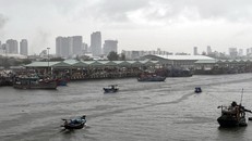 Tàu thuyền neo đậu tránh bão an toàn tại Âu thuyền Thọ Quang (Đà Nẵng).