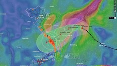 Bão số 12 dự kiến đổ bộ từ Đà Nẵng đến Quảng Ngãi, hoàn lưu bão gây mưa lũ lớn diện rộng
