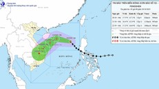 Hướng di chuyển của bão số 12 lúc 5h sáng ngày 20/10. (Nguồn: Trung tâm dự báo khí tượng thủy văn Quốc gia)