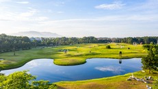 Art In The Forest: Hành trình 10 năm phiêu du với nghệ thuật đương đại của Flamingo
