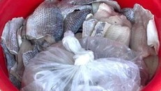 Hà Nội: Xử phạt cơ sở đưa thực phẩm không đảm bảo chất lượng vào trường học