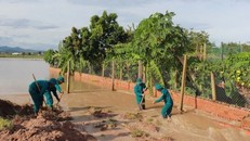 Lực lượng chức năng khắc phục hậu quả bão số 13. 