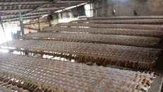 Nghề làm bánh đa nem Thổ Hà - Di sản phi vật thể vùng Kinh Bắc