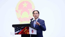 Phó Thủ tướng Bùi Thanh Sơn phát biểu tại hội nghị. 