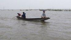 Việc đi lại giữa xã Quảng Điền và phường Kim Trà, thành phố Huế phải dùng thuyền, do lũ sông Bồ dâng cao gây ngập lụt ngày 17/11. 