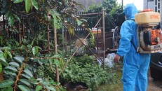 Phun hóa chất diệt muỗi.