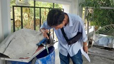 Kiểm tra các thùng phuy chứa nước trong gia đình, môi trường muỗi sinh sản loăng quăng.