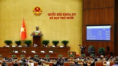 Quốc hội biểu quyết thông qua Luật Dẫn độ. 