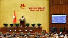 Quốc hội biểu quyết thông qua Luật sửa đổi, bổ sung một số điều của Luật Lý lịch tư pháp.