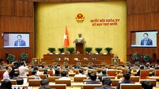 Quốc hội làm việc tại nghị trường.