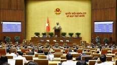 Quốc hội biểu quyết thông qua Luật sửa đổi, bổ sung một số điều của Luật Thống kê. 