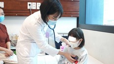 Hà Nội tập trung xử lý nhiều dịch bệnh, không để bùng phát trong dịp Tết