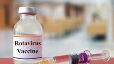 Từ năm 2026, Hà Nội triển khai uống vaccine Rota trong Chương trình tiêm chủng mở rộng