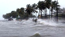 Các tỉnh, thành phố chủ động ứng phó với rét đậm, rét hại và gió mạnh trên biển