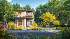 Phân khu Rừng Mai mang dấu ấn của sắc mai vàng rực rỡ, mở đầu cho mùa lễ hội trong năm.