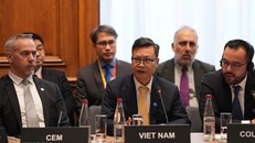 Đại sứ đặc mệnh toàn quyền Việt Nam tại Pháp Trịnh Đức Hải phát biểu tại Hội nghị Bộ trưởng Cơ quan Năng lượng Quốc tế (IEA) năm 2026. 