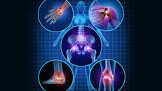 Các nhà khoa học Bỉ đạt bước tiến đột phá trong điều trị nhiễm trùng khớp giả