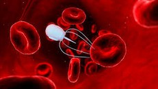 Robot DNA siêu nhỏ săn lùng virus và đưa thuốc vào cơ thể