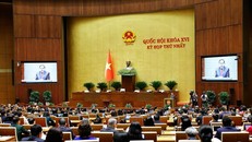 Kỳ họp thứ Nhất, Quốc hội khóa XVI.