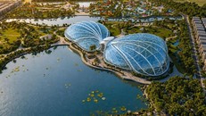 Cách Vinhomes đưa cả thế giới thực vật ôn đới về Sài Gòn Park để cư dân chiêm ngưỡng “kỳ hoa dị thảo” quanh năm