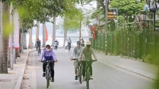 Trên 22% người trưởng thành thiếu vận động thể lực