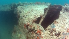 Hình ảnh chưa từng công bố xác máy bay sau 74 năm Trân Châu Cảng