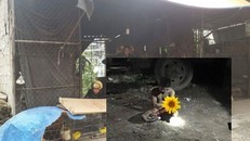 Camera giúp bắt sống trộm khỏa thân đột nhập chuồng gà