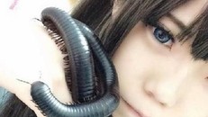 Hotgirl nuôi rết ‘khủng’ làm thú cưng xôn xao mạng xã hội