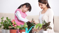 Bí quyết dạy con tự lập của mẹ Nhật