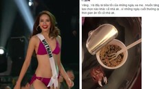 Phạm Hương lên tiếng sau khi bị chê 'gầy' và 'ẻo lả' ở HHHV 2015