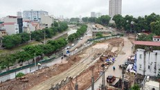 Hà Nội: Hàng chục cây cổ thụ bị chặt để làm đường