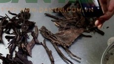 Ly kỳ thương vụ khúc trầm 'vứt đi' giá gần 4 tỷ đồng