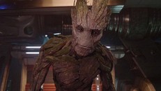 Thực vật có khả năng suy nghĩ và cảm xúc như người?