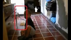 Video ghi lại cảnh người tí hon xuất hiện ở Argentina?