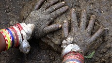 Bánh phân bò Ấn Độ 'cháy hàng' trên eBay và Amazon