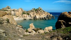 Cẩm nang du lịch Cù Lao Câu - hòn đảo bình yên của Bình Thuận