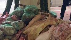 Hà Nội: Bắt xe chở 1 tấn 'thịt lợn bẩn' vào chợ Phùng Khoang