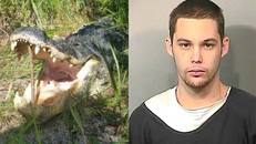 Tên trộm xấu số chạy trốn cảnh sát thì bị cá sấu ăn thịt