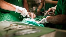 Mỹ tiến hành ca cấy ghép dương vật đầu tiên vào năm 2016