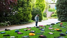 Giấc mơ Harvard và hàng loạt sinh viên tự tử vì áp lực