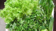 Những người tuyệt đối không nên ăn rau sống