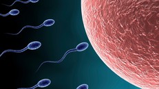 Dấu hiệu nhận biết phái mạnh có tinh trùng khoẻ mạnh